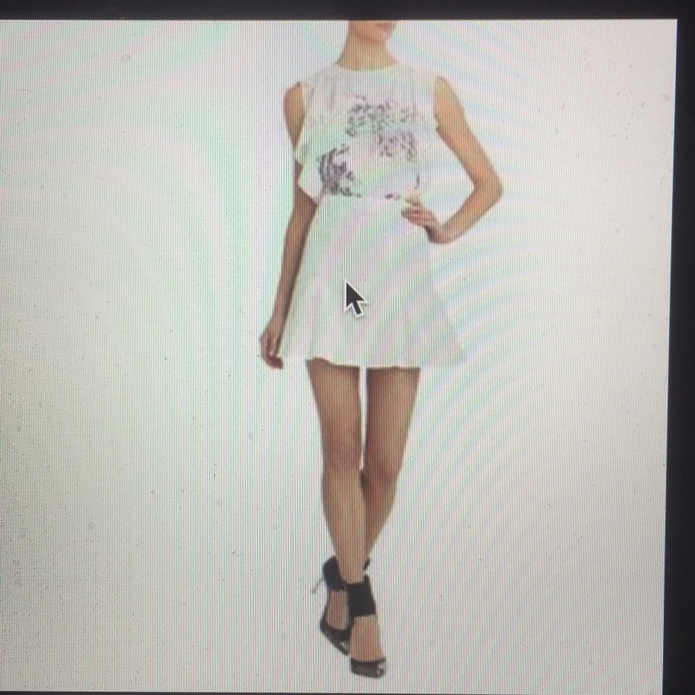 BCBGMAXAZRIA RUNWAY - THE MORA SKIRT (NEW)